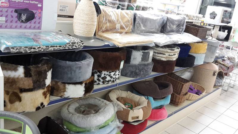 Ligmanden en kussens voor katten in Dierenspeciaalzaak Achterhoek Gunnewick Tuin en Dier